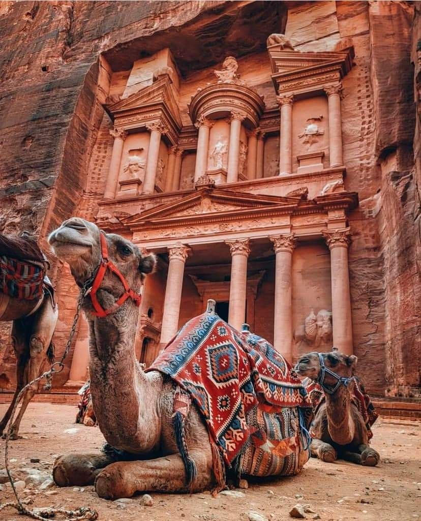 Traveler 1
